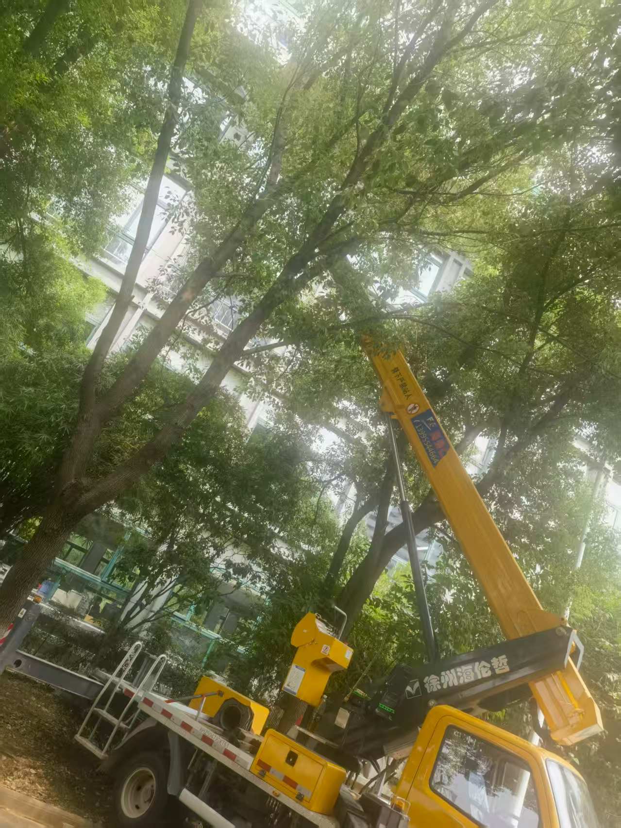 18米直臂升降車載人修剪樹枝、園林施工現(xiàn)場(chǎng)